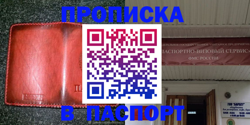 временная прописка в Полярных Зорях